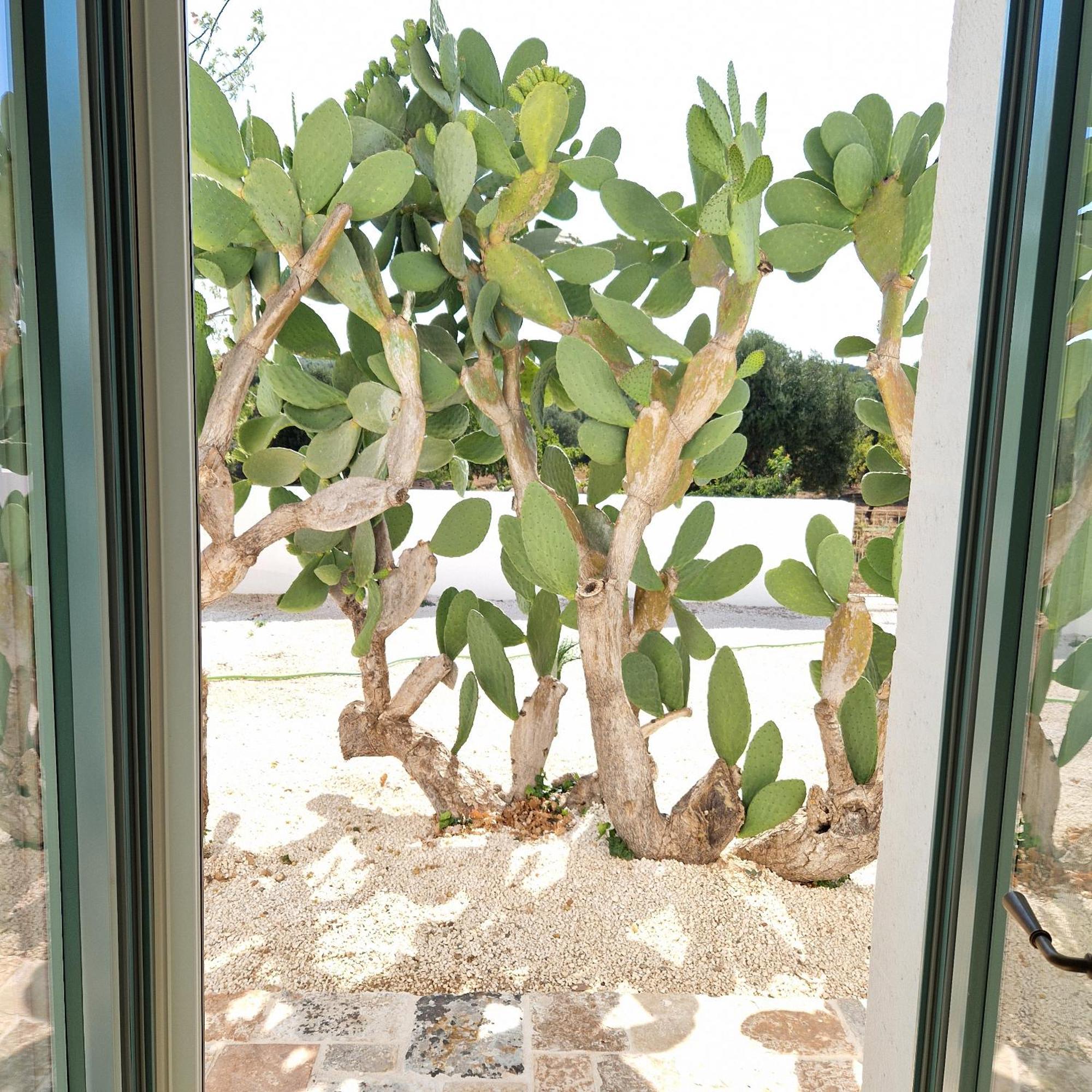 Masseria Paradiso Остуни Екстериор снимка